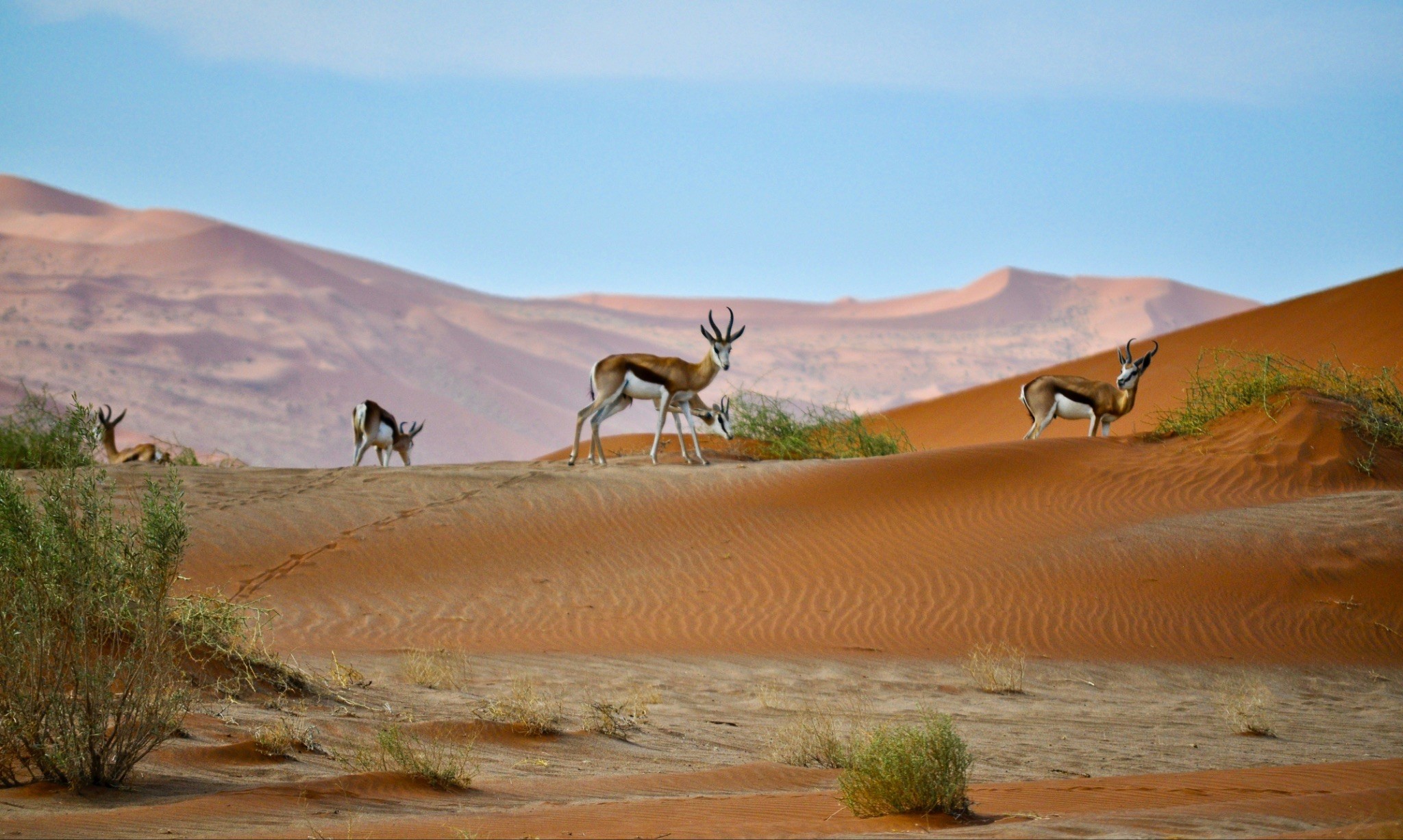 Scenic natural landscape with people