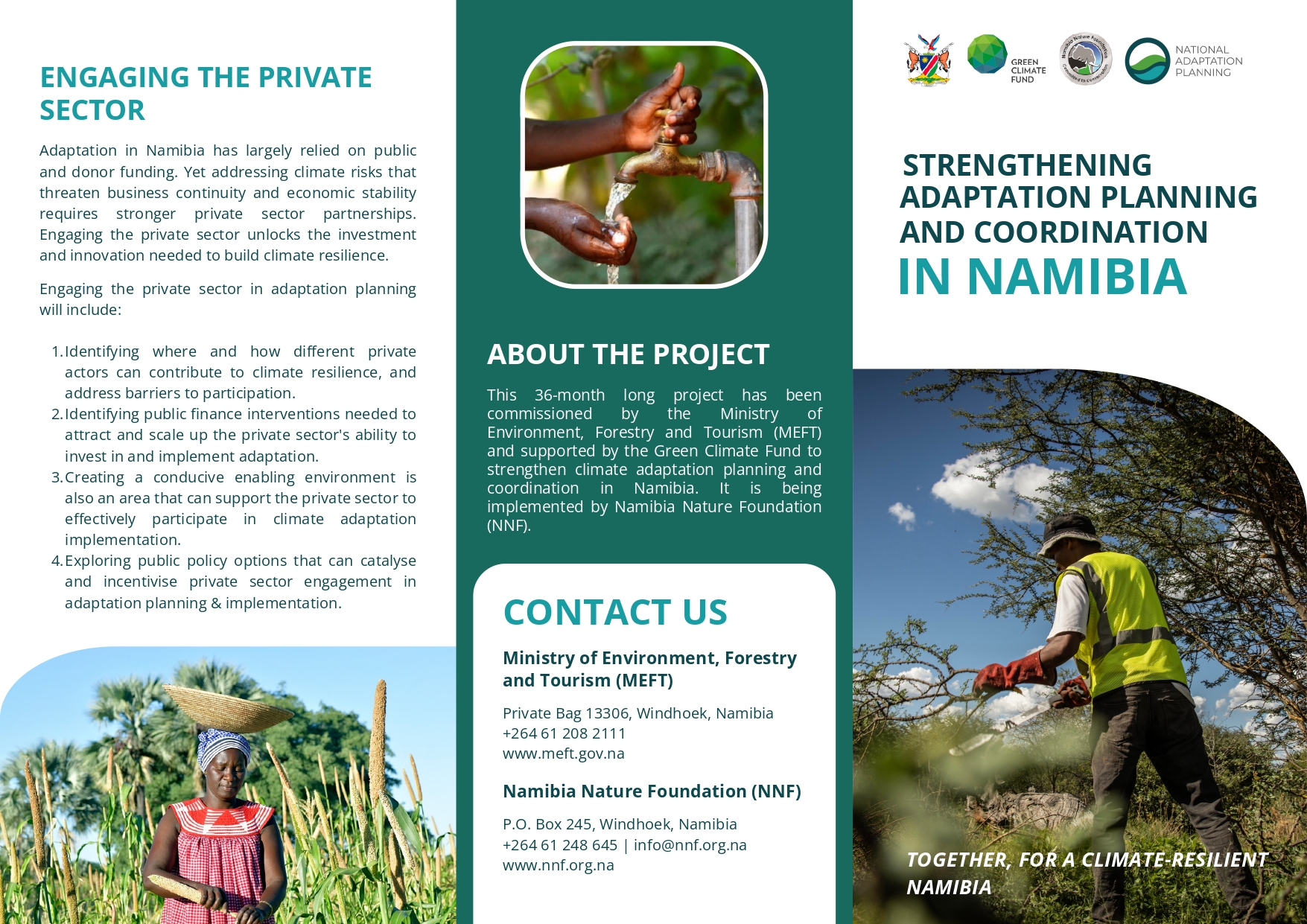 NAP Brochure cover image