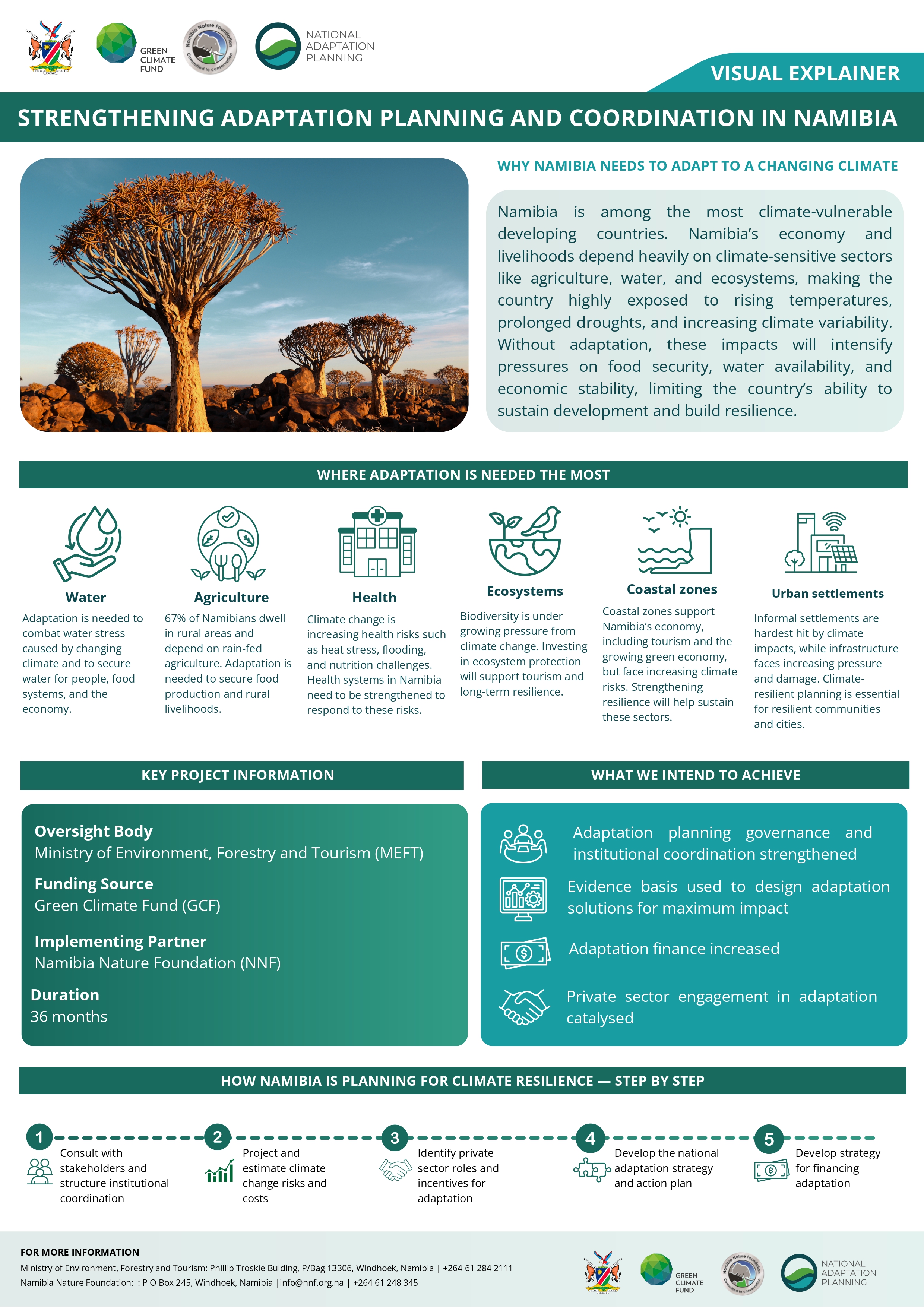 Visual Explainer cover image