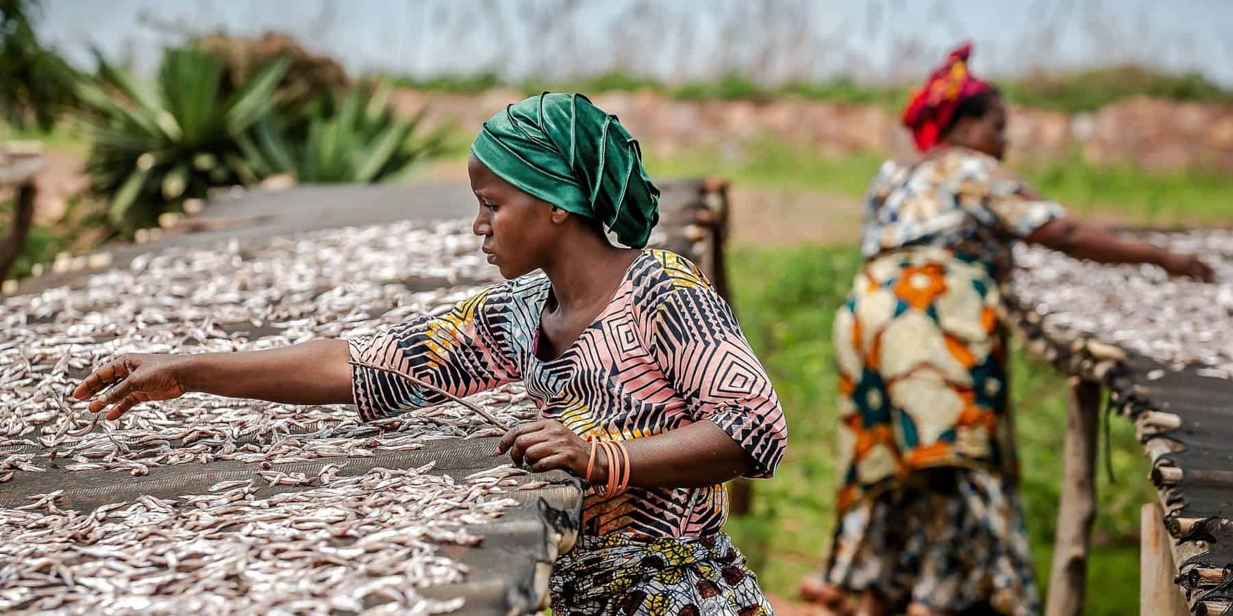 Small-scale fish processing supporting local livelihoods