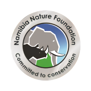 NNF