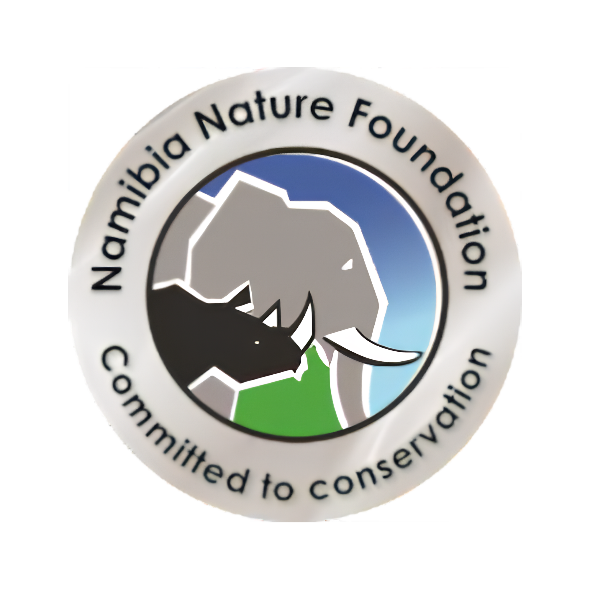 NNF